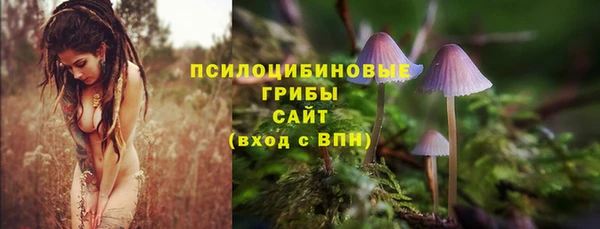 ECSTASY Белокуриха