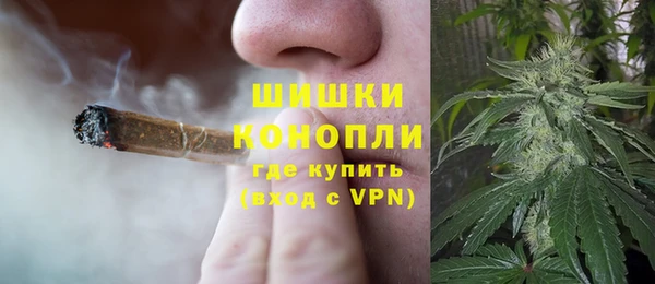 ECSTASY Белокуриха