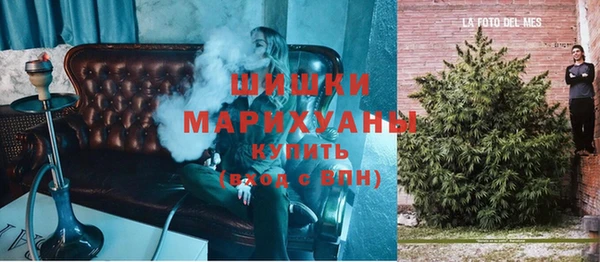 ECSTASY Белокуриха