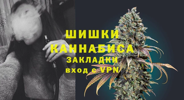 ECSTASY Белокуриха