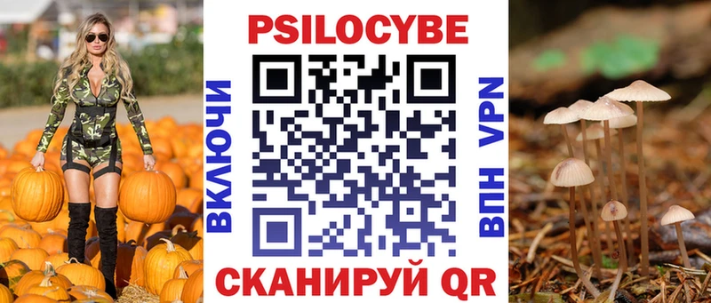 наркошоп  Магас  Галлюциногенные грибы Cubensis 